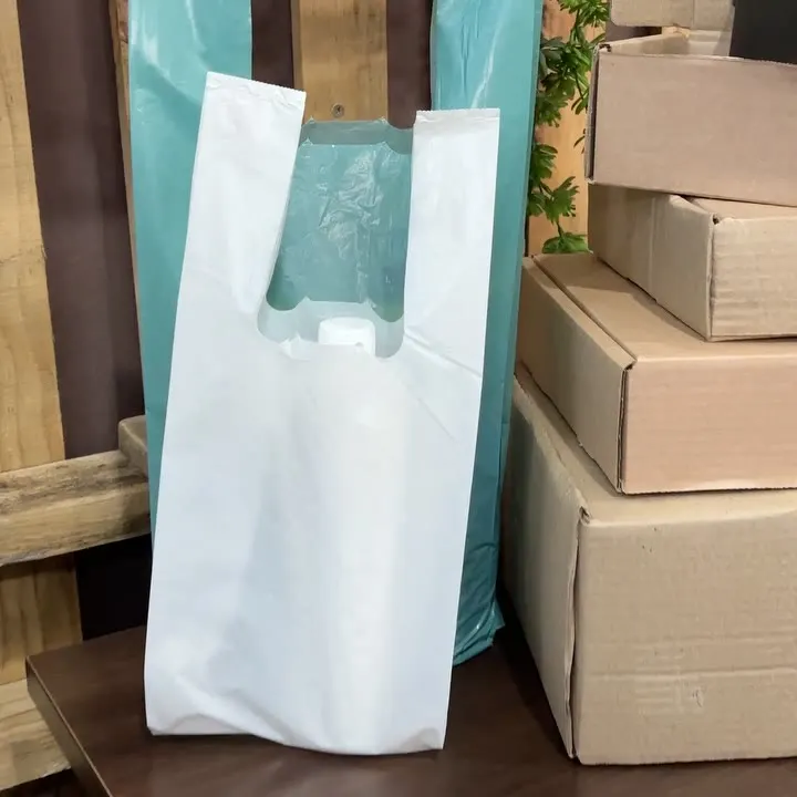 Sacolas plásticas